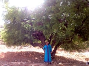 malika at uncle hamids argan trees