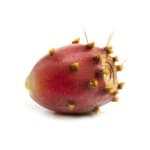 Prickly Pear Cactus Seed Oil - 10ml / 0.34oz