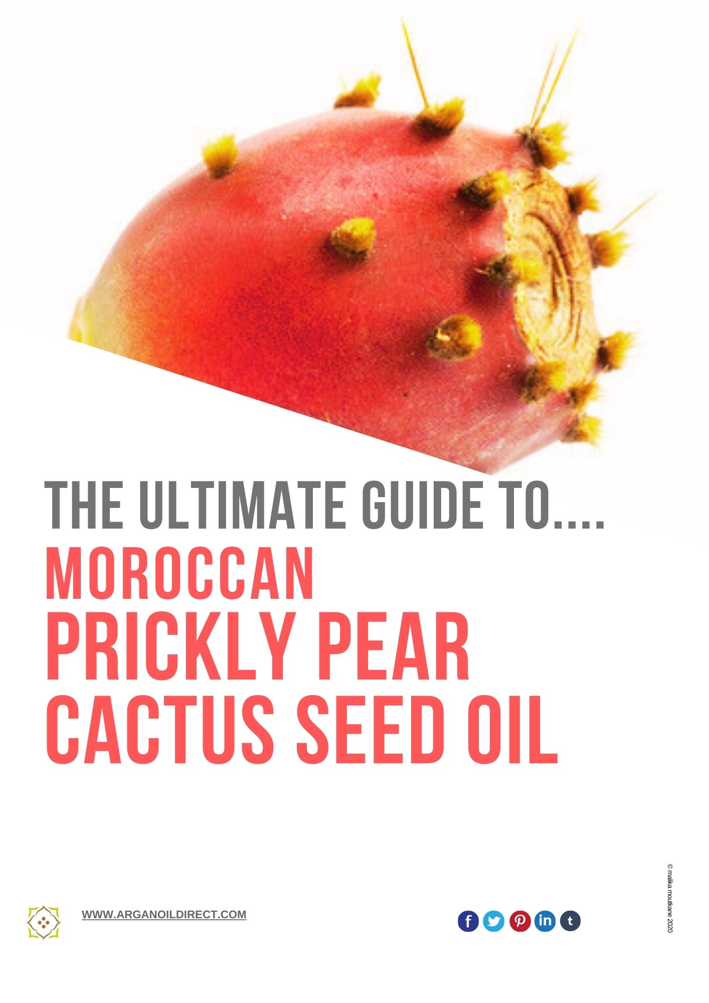 Prickly Pear Cactus Oil - Image 3