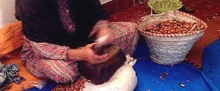 moroccan berber women argan oil cooperatives