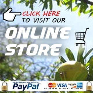 Argan Oil Direct Online Store