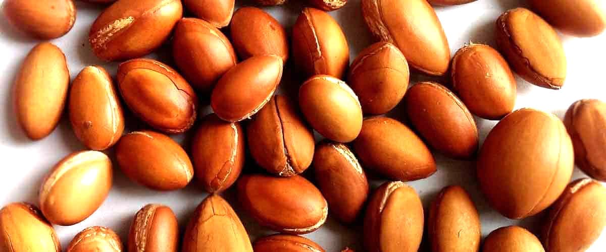 The Four Stages of Argan Nut Processing