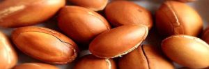 dried argan nut seed kernels