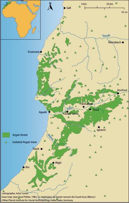 Map showing location of Argan forests and Argan trees in Morocco