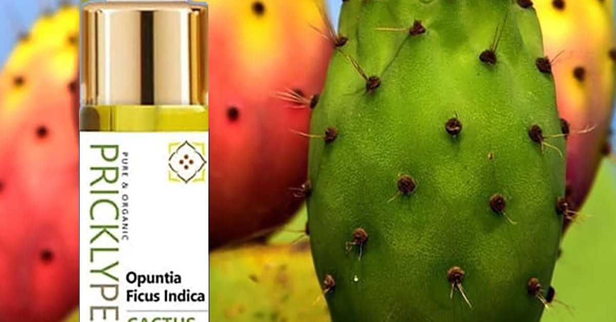 Discover Prickly Pear Cactus Oil: Opuntia Ficus Indica Oil