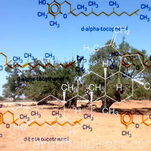 The bio chemical make up of arganoil The chemistry of Argan Oil