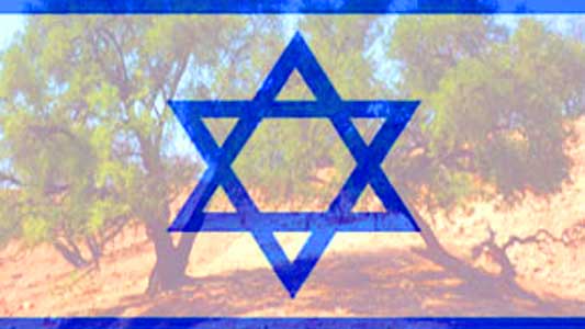 picture of israeli flag